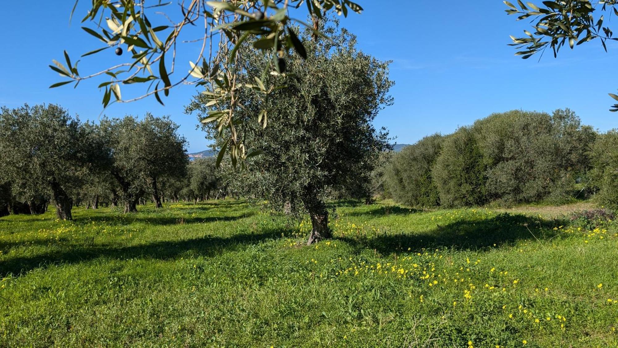 Casale Valverde Αλγκέρο Εξωτερικό φωτογραφία